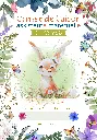 Carnet de liaison - 0 à 12 mois - printemps